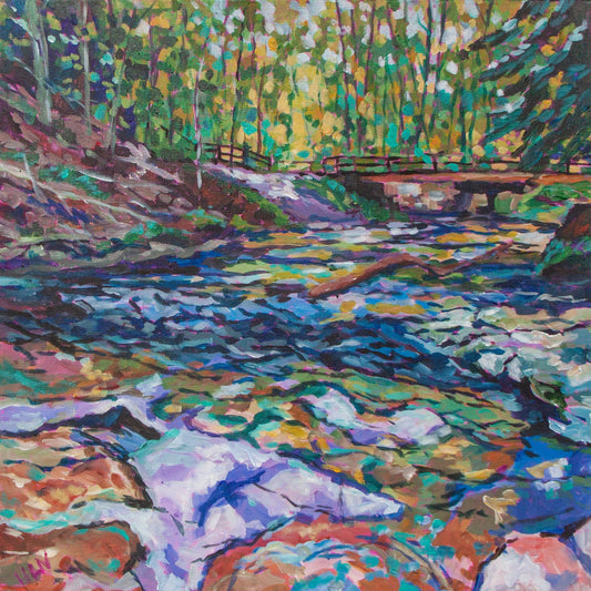 A shallow stream in the woods of Cuyahoga National Park south of Cleveland Ohio