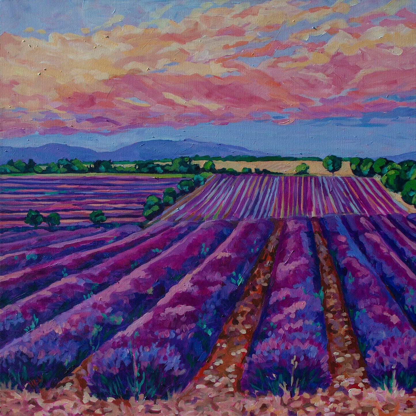 Original vibrant impressionistic painting of the lavender fields near Madrid Spain at sunset