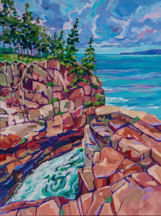 Raven's nest on Schoodic Peninsula in Acadia National Park in Maine