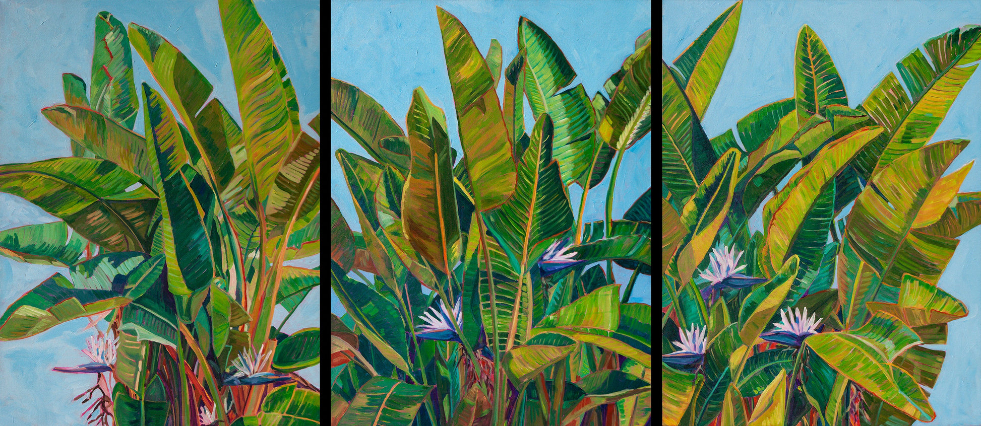 tropical botanical large statement piece of the giant bird of paradise plant