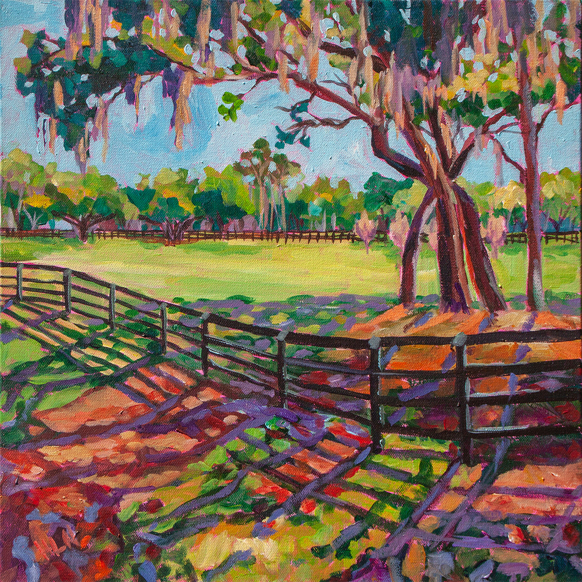 dramatic shadows a fence and trees in this rural farm scene