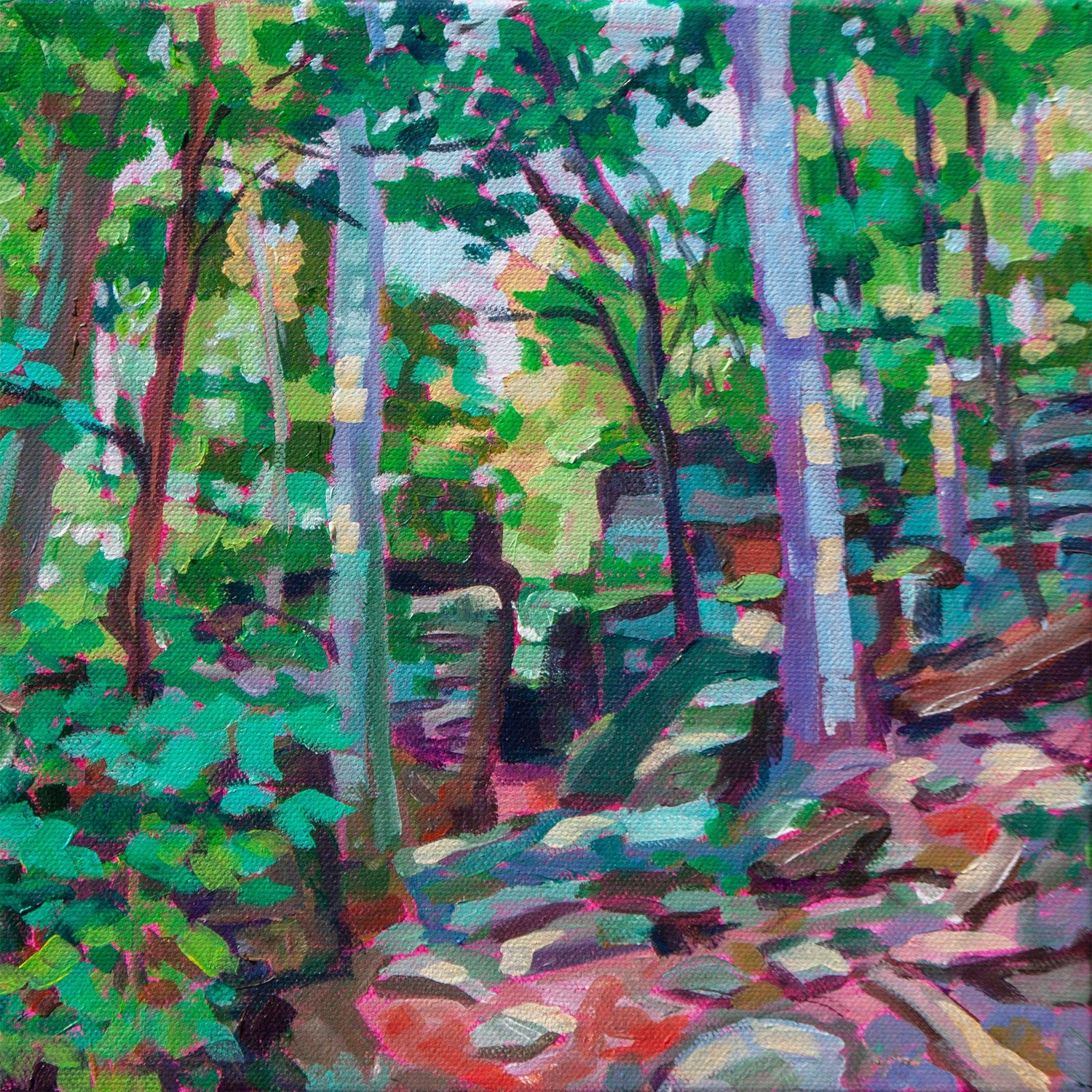 Natural Landscapes
