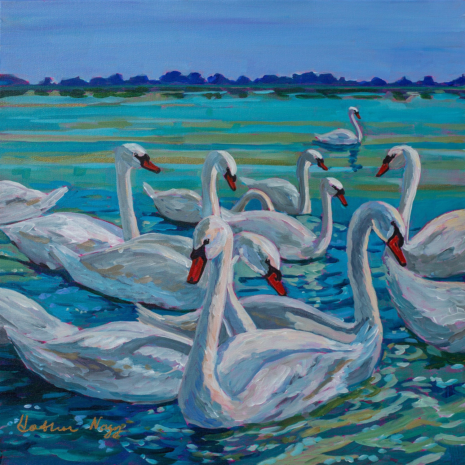 a grouping or Bevy of white swans