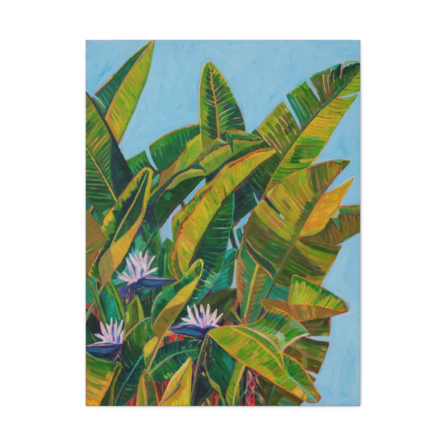 Bird of Paradise 2 — Gallery Wrapped Canvas Reproduction