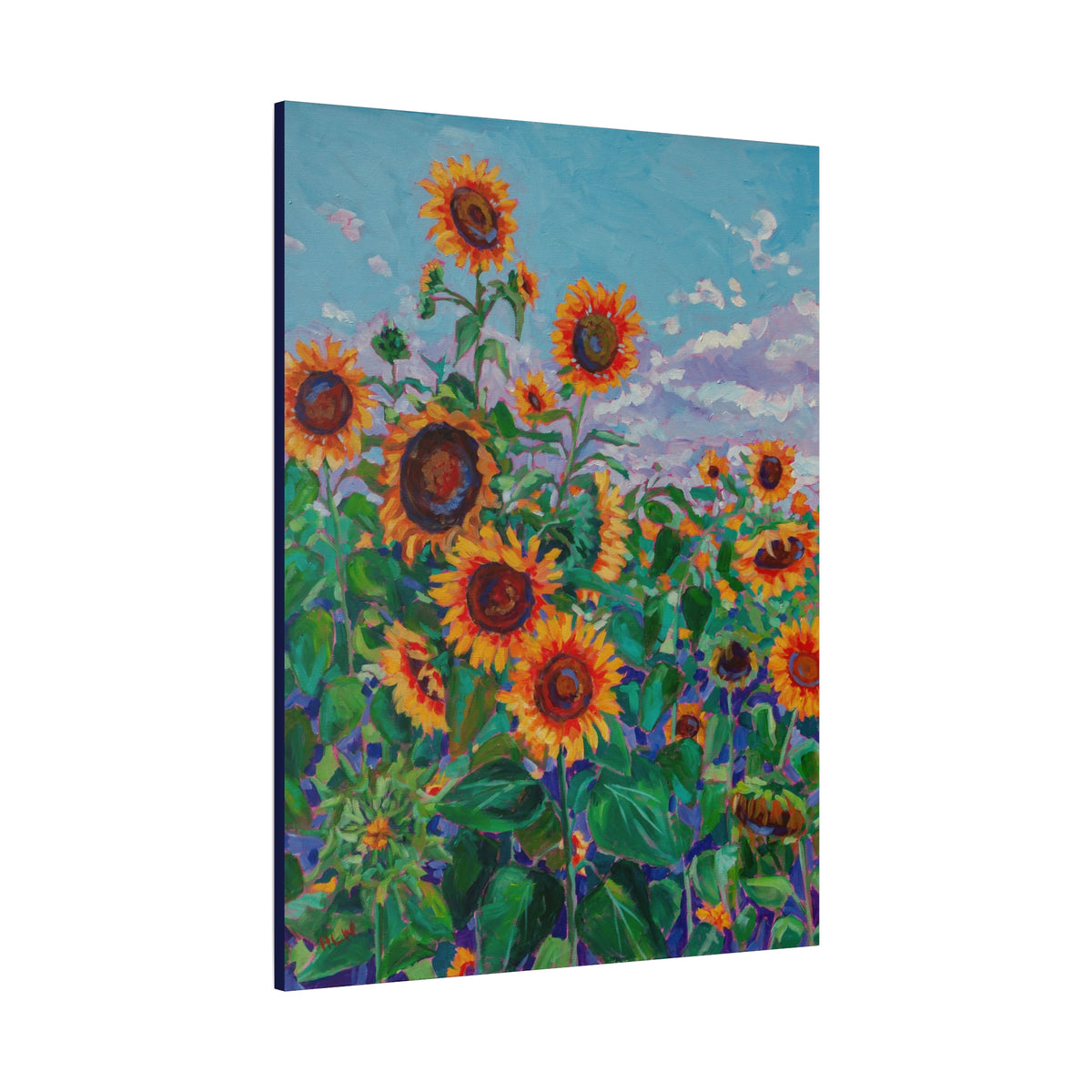 Sunflower field 5— Gallery Wrapped Canvas Reproduction