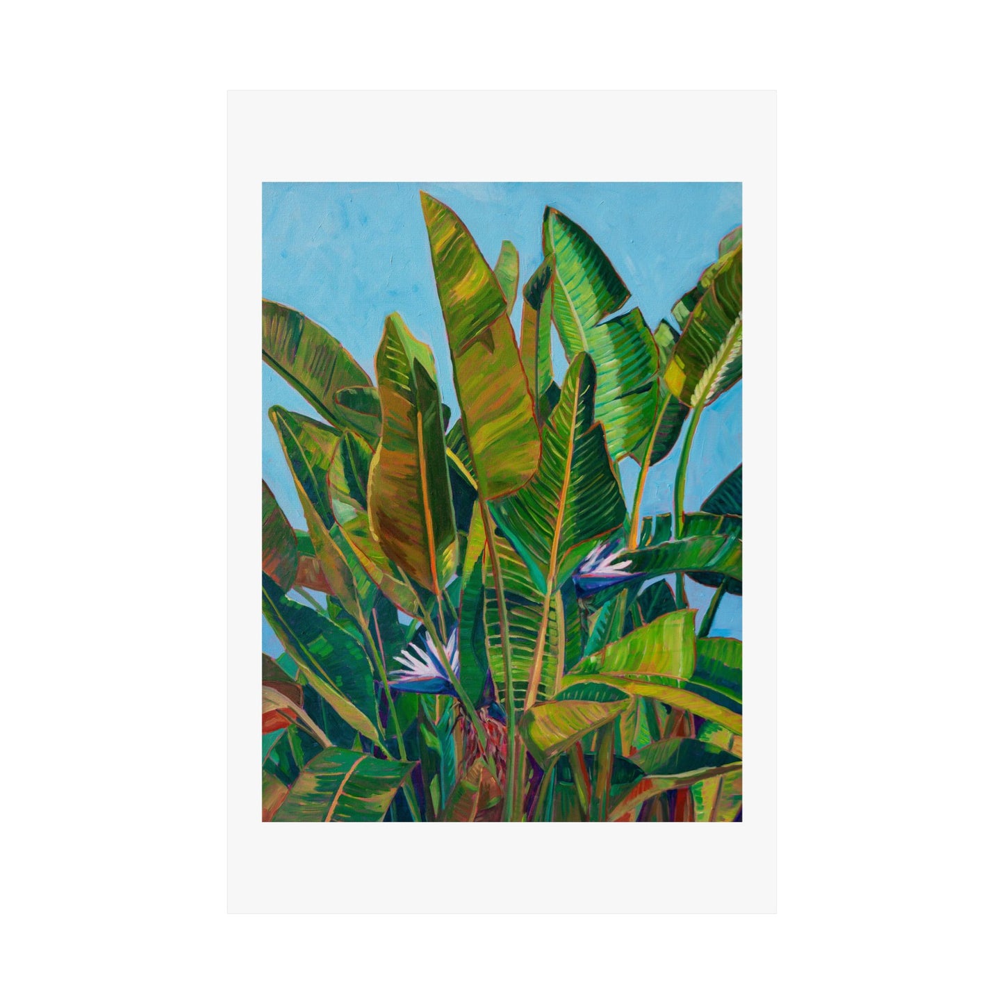 Bird of Paradise 3— Fine Art Poster Reproduction