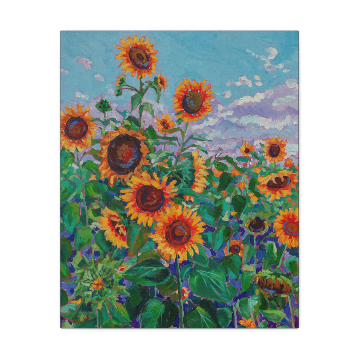 Sunflower field 5— Gallery Wrapped Canvas Reproduction