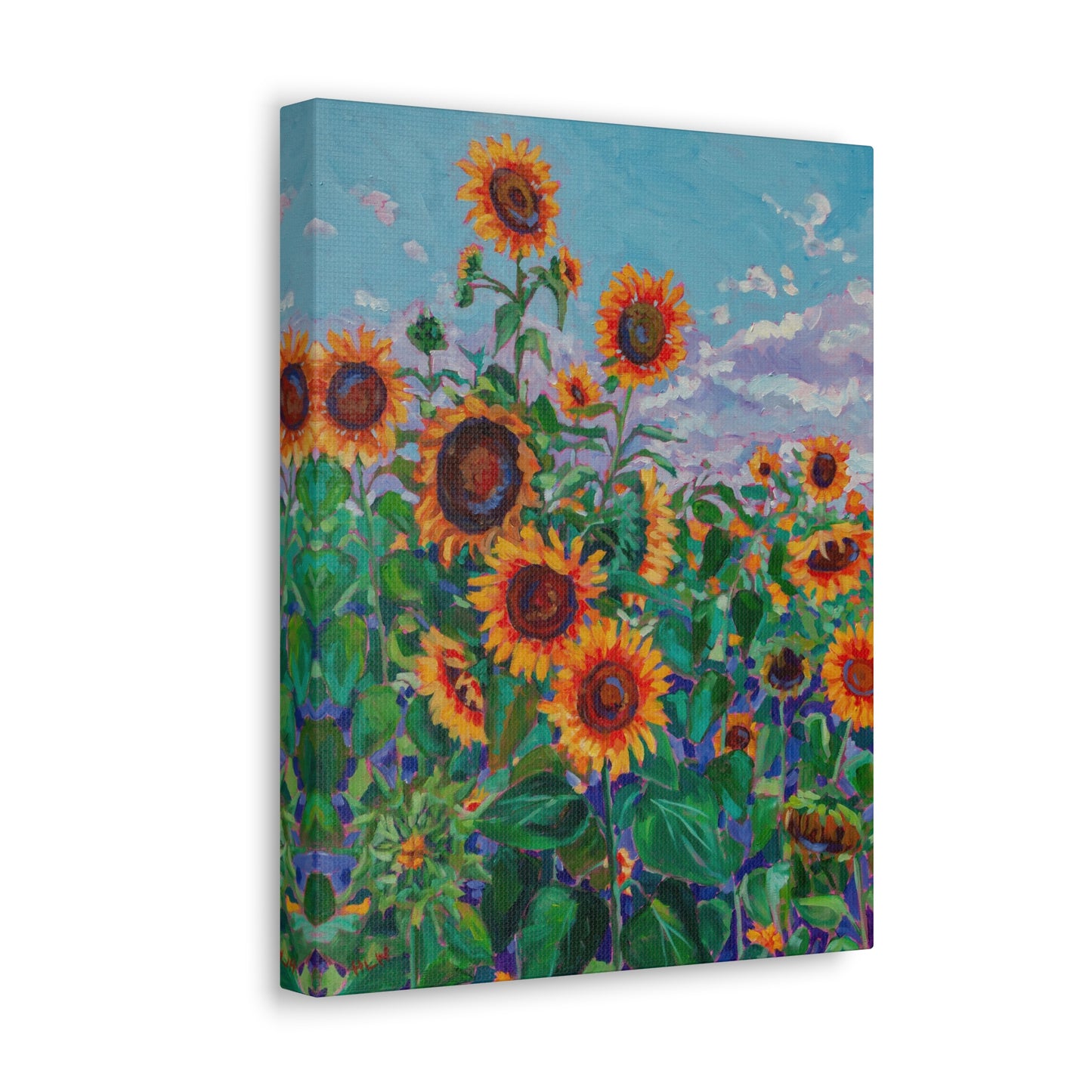 Sunflower field 5— Gallery Wrapped Canvas Reproduction