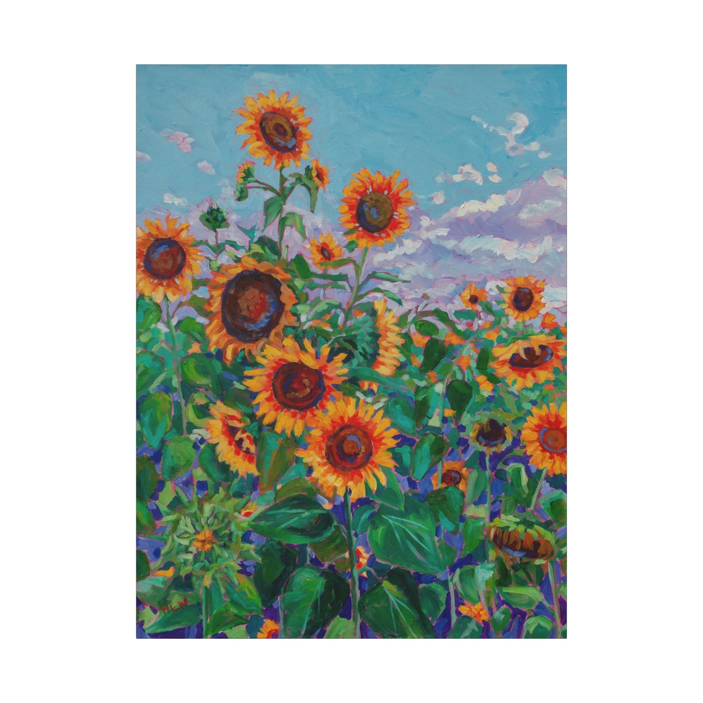 Sunflower field 5— Gallery Wrapped Canvas Reproduction