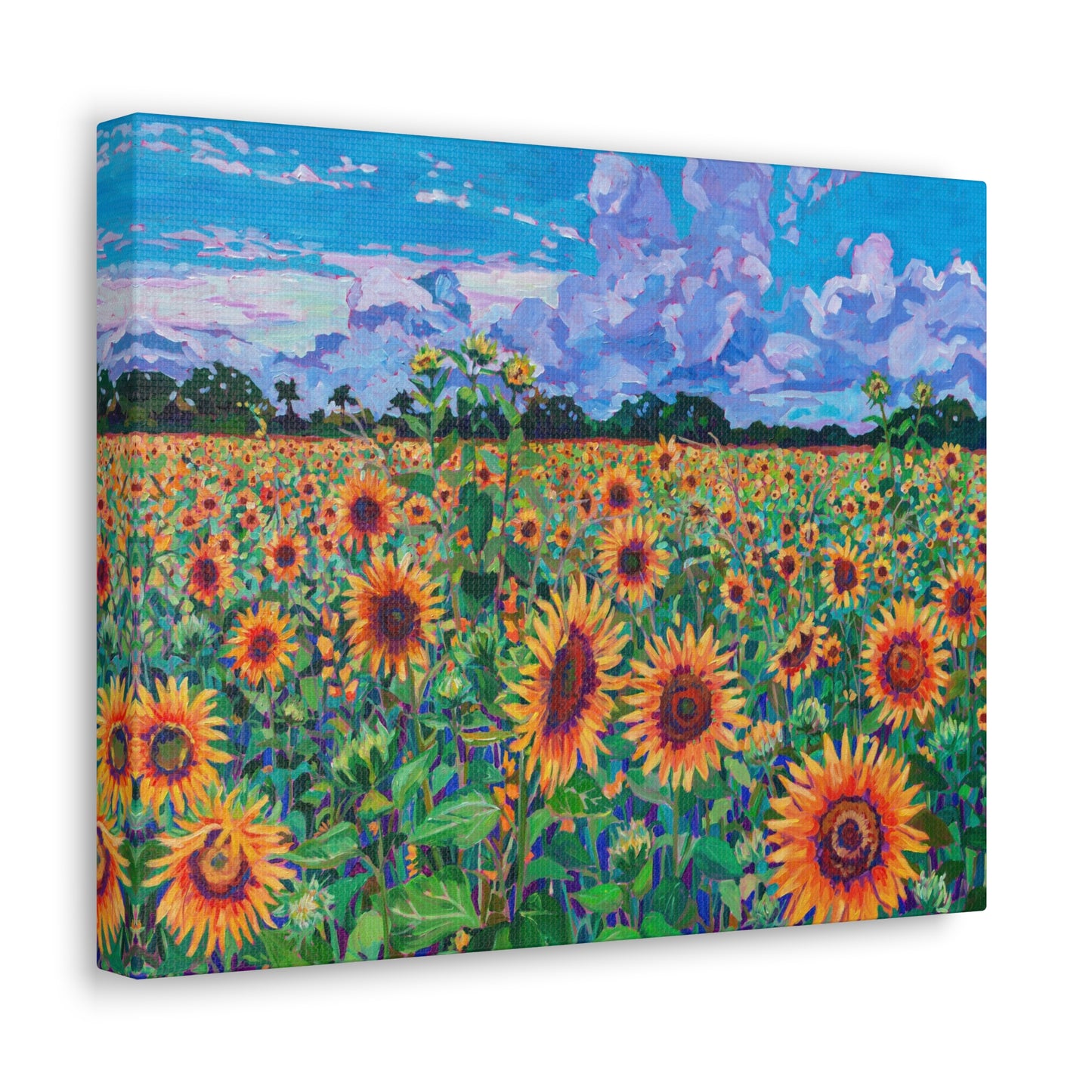 Field of Sunshine— Gallery Wrapped Canvas Reproduction