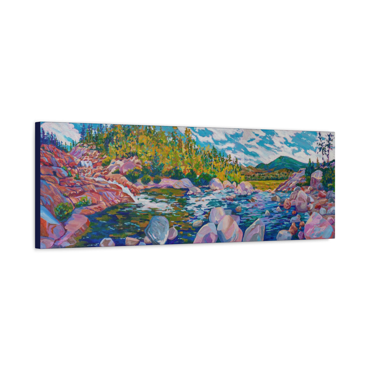 Alluvial Fan Rocky Mountain National Park— Gallery Wrapped Canvas Reproduction