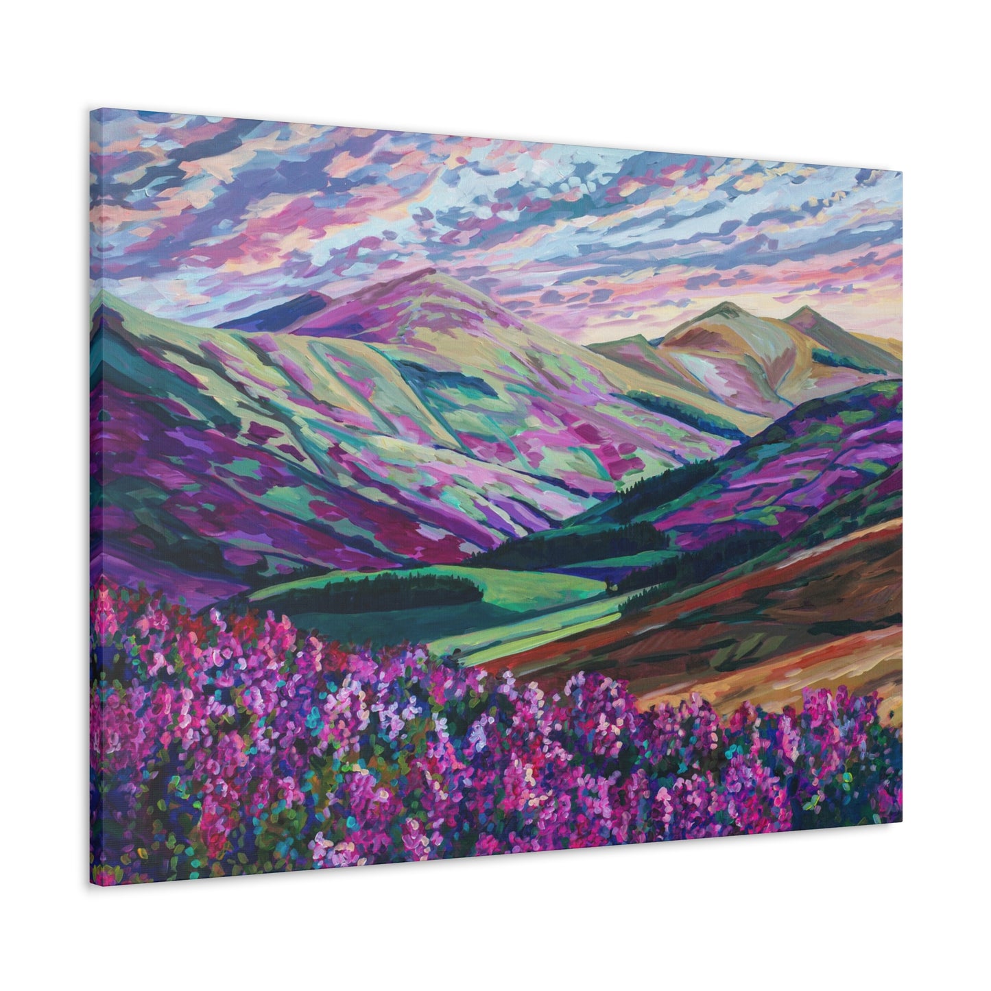 Heather in the Hills, West Linton-Scotland— Gallery Wrapped Canvas Reproduction