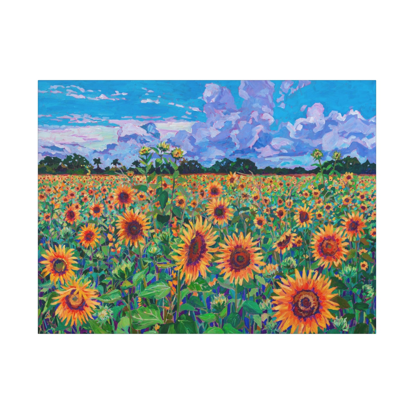 Field of Sunshine Sunflowers—Matte Canvas, Stretched, 1.25"