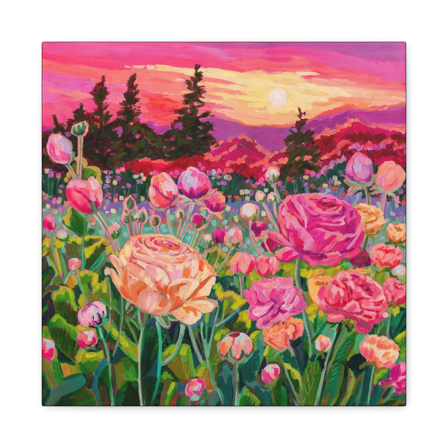 Wonder garden series- ranunculus—Matte Canvas, Stretched, 1.25"