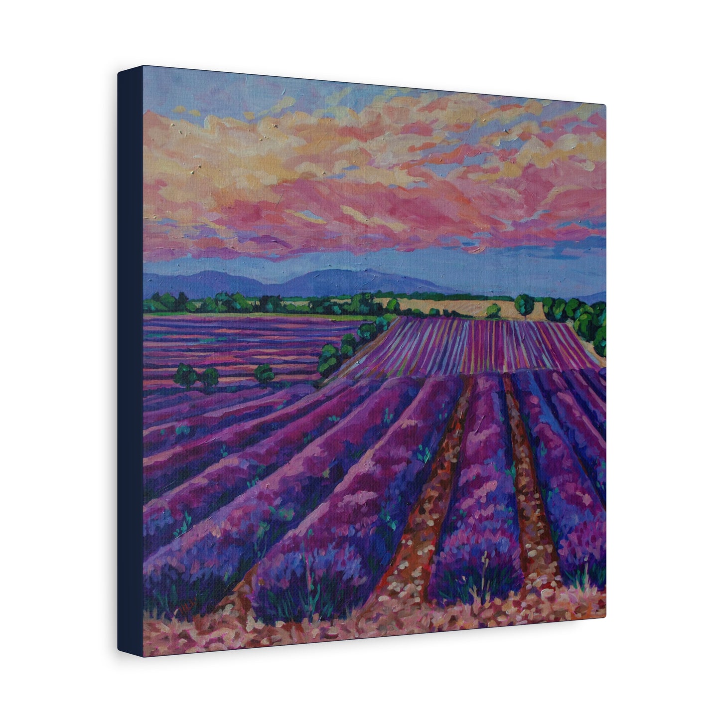 Lavender field at Sunset —Matte Canvas, Stretched, 1.25"