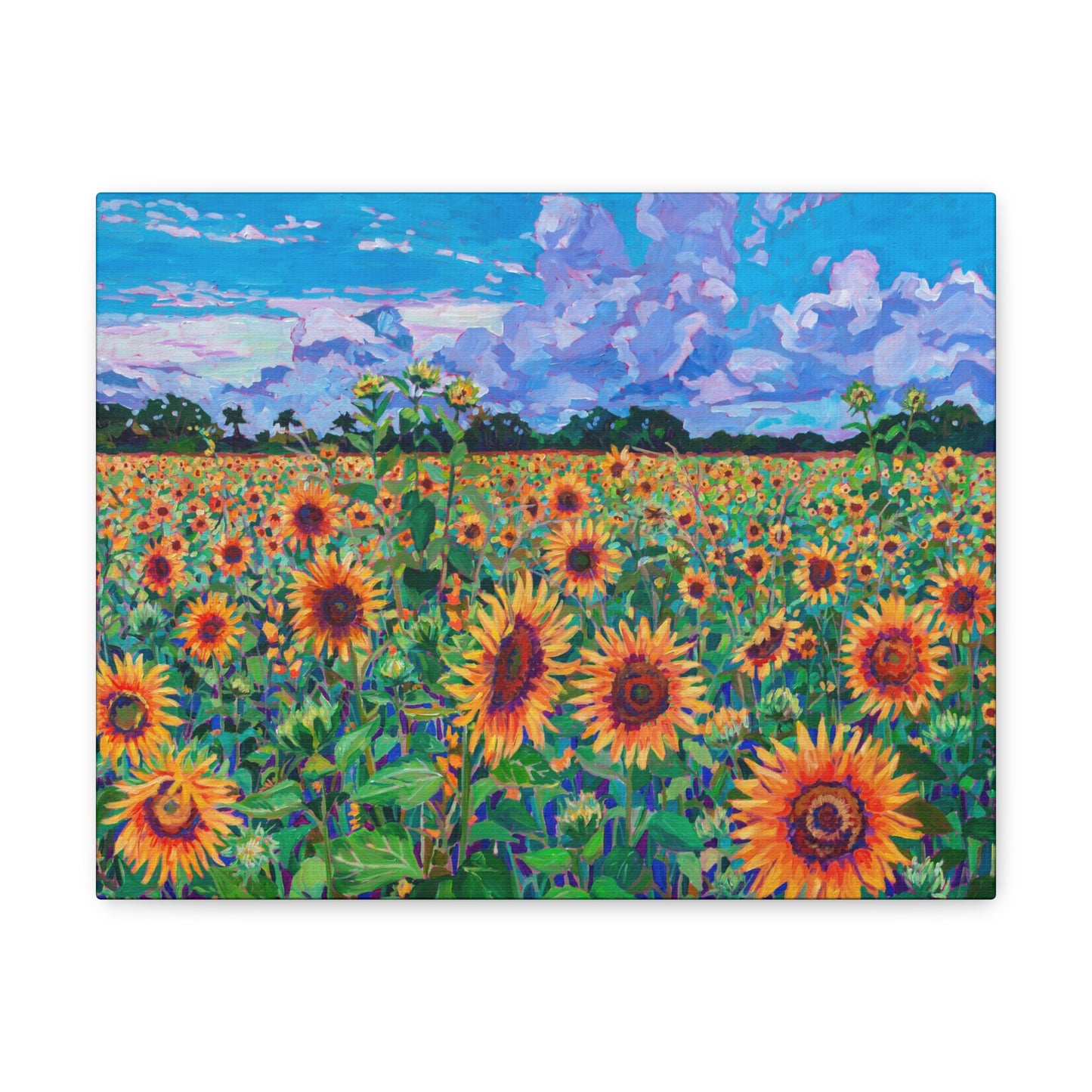 Field of Sunshine— Gallery Wrapped Canvas Reproduction