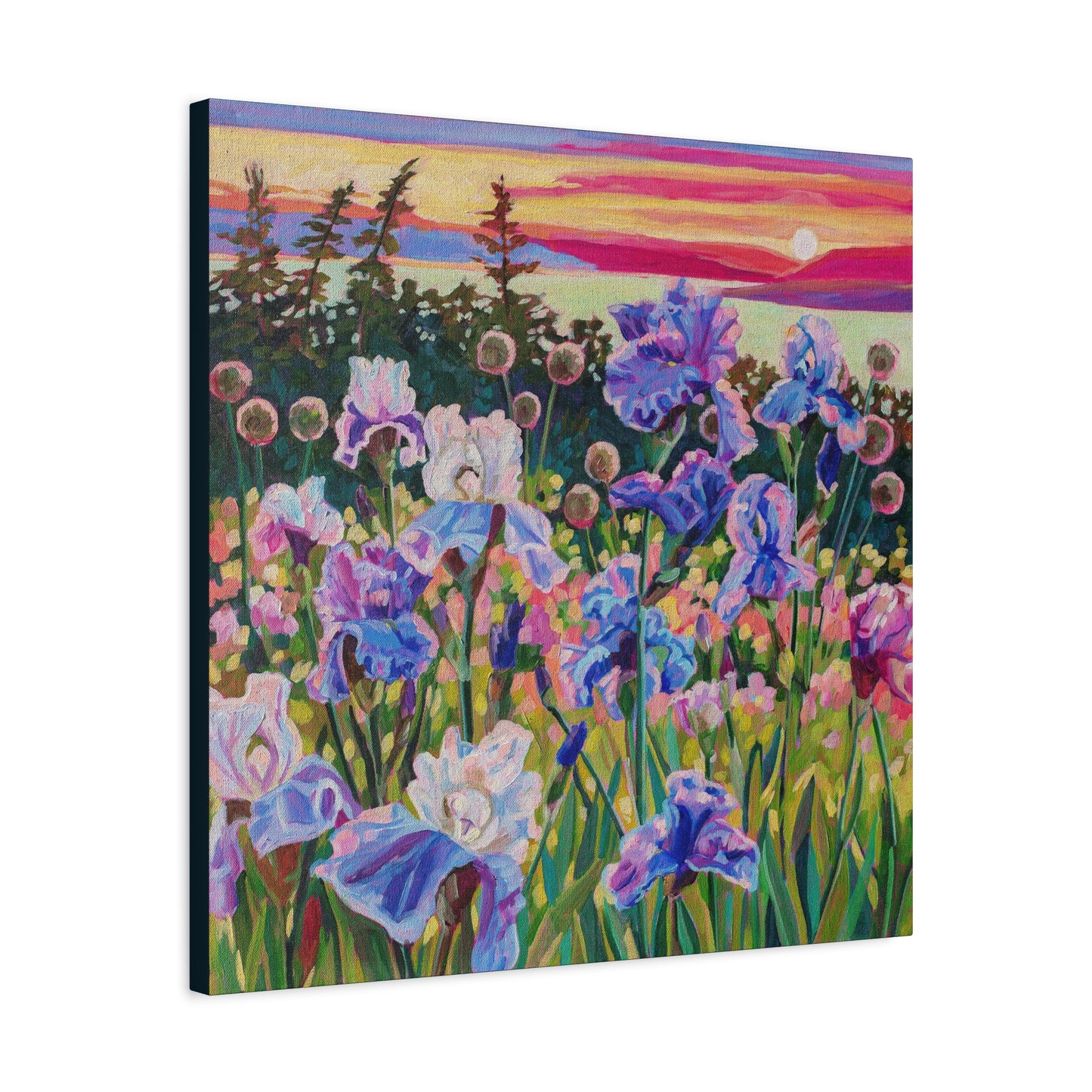 Wonder garden series- Irises—Matte Canvas, Stretched, 1.25"