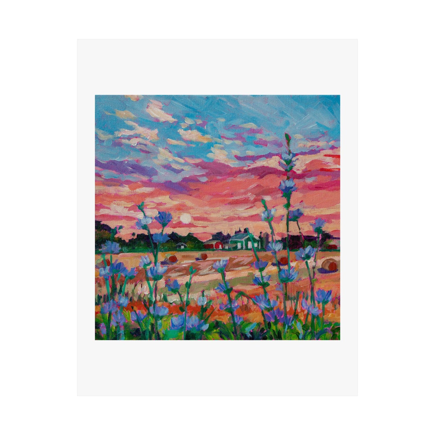 Chicory at Sunrise— Matte Paper Poster Reproduction