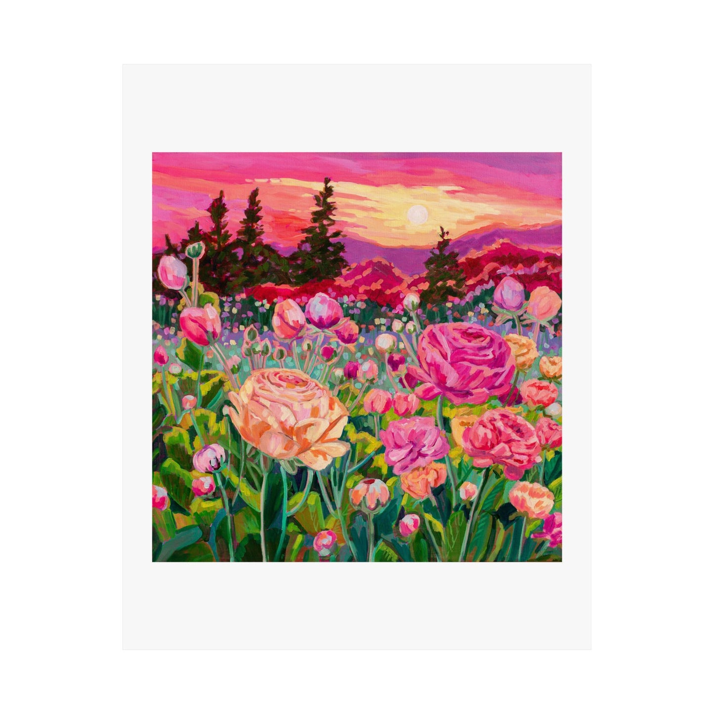 Wonder garden series- Ranunculus— Matte Paper Poster Reproduction