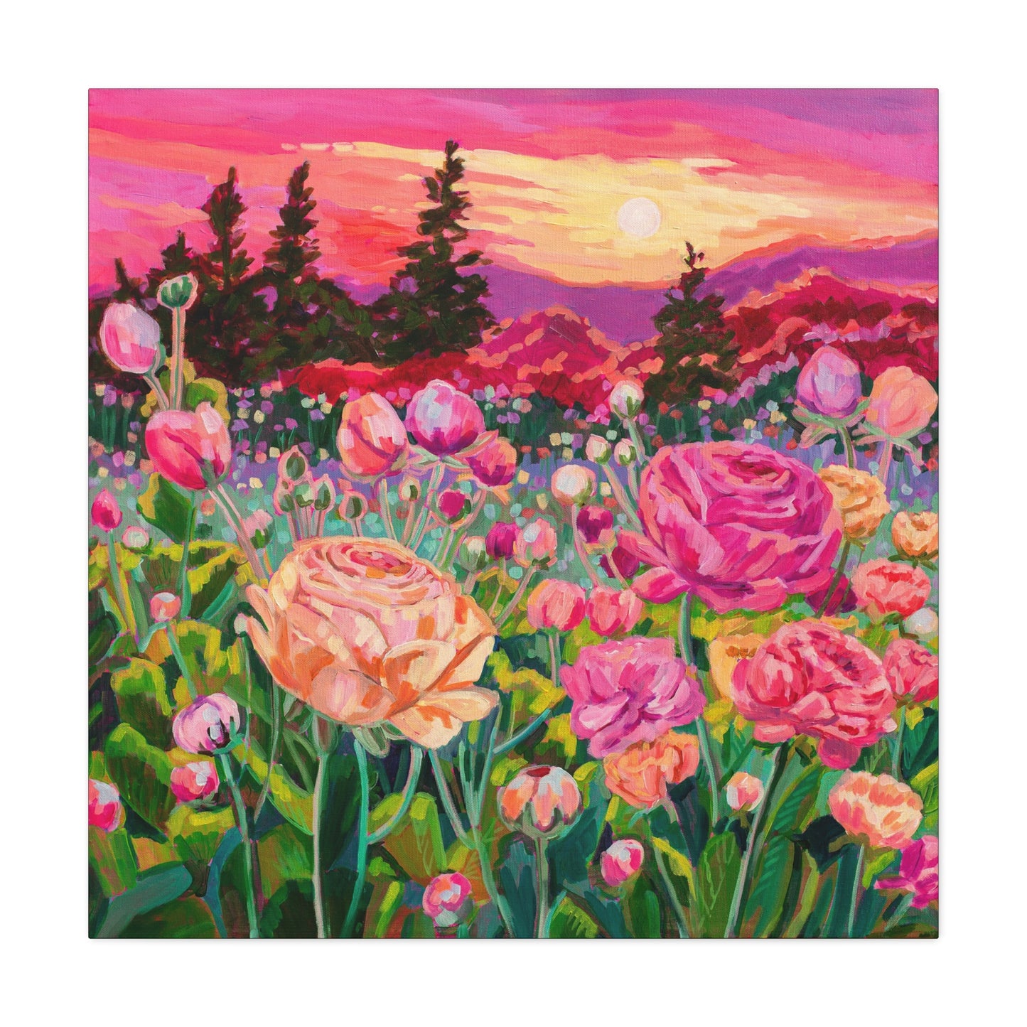 Wonder garden series- ranunculus—Matte Canvas, Stretched, 1.25"