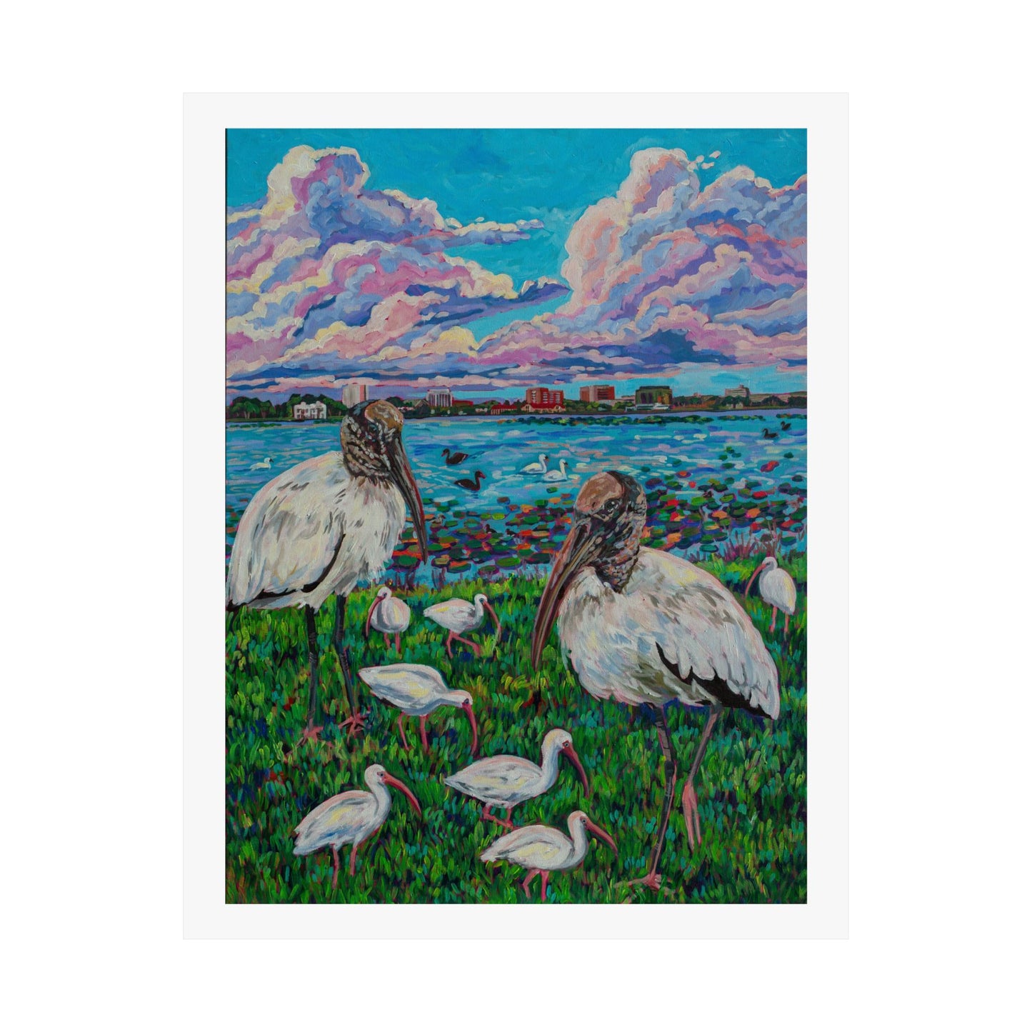 Waterfowl at Lake Morton, Lakeland— Fine Art Matte Paper Reproduction