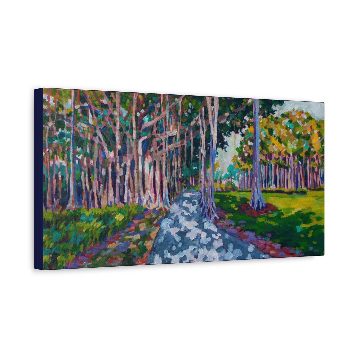 Ringling's Banyan— Gallery Wrapped Canvas Reproduction