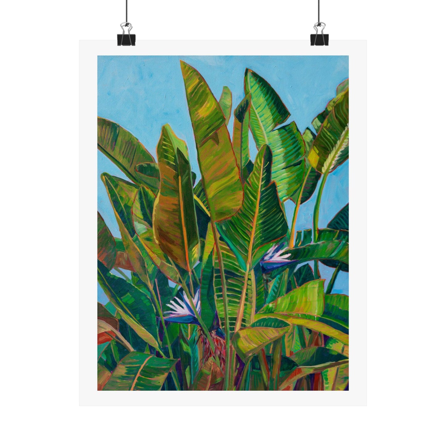 Bird of Paradise 3— Fine Art Poster Reproduction