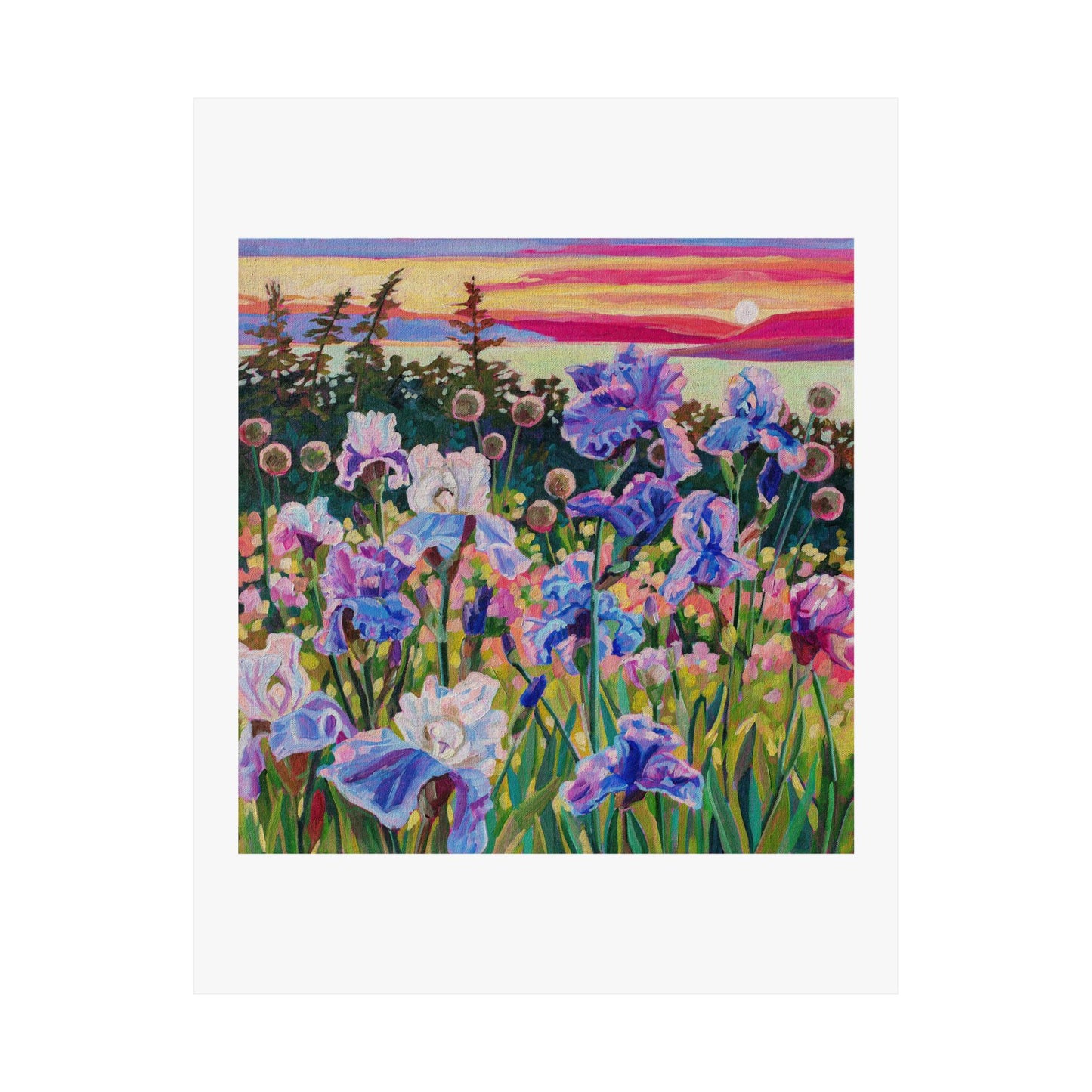 Wonder garden series- Irises— Matte Paper Poster Reproduction