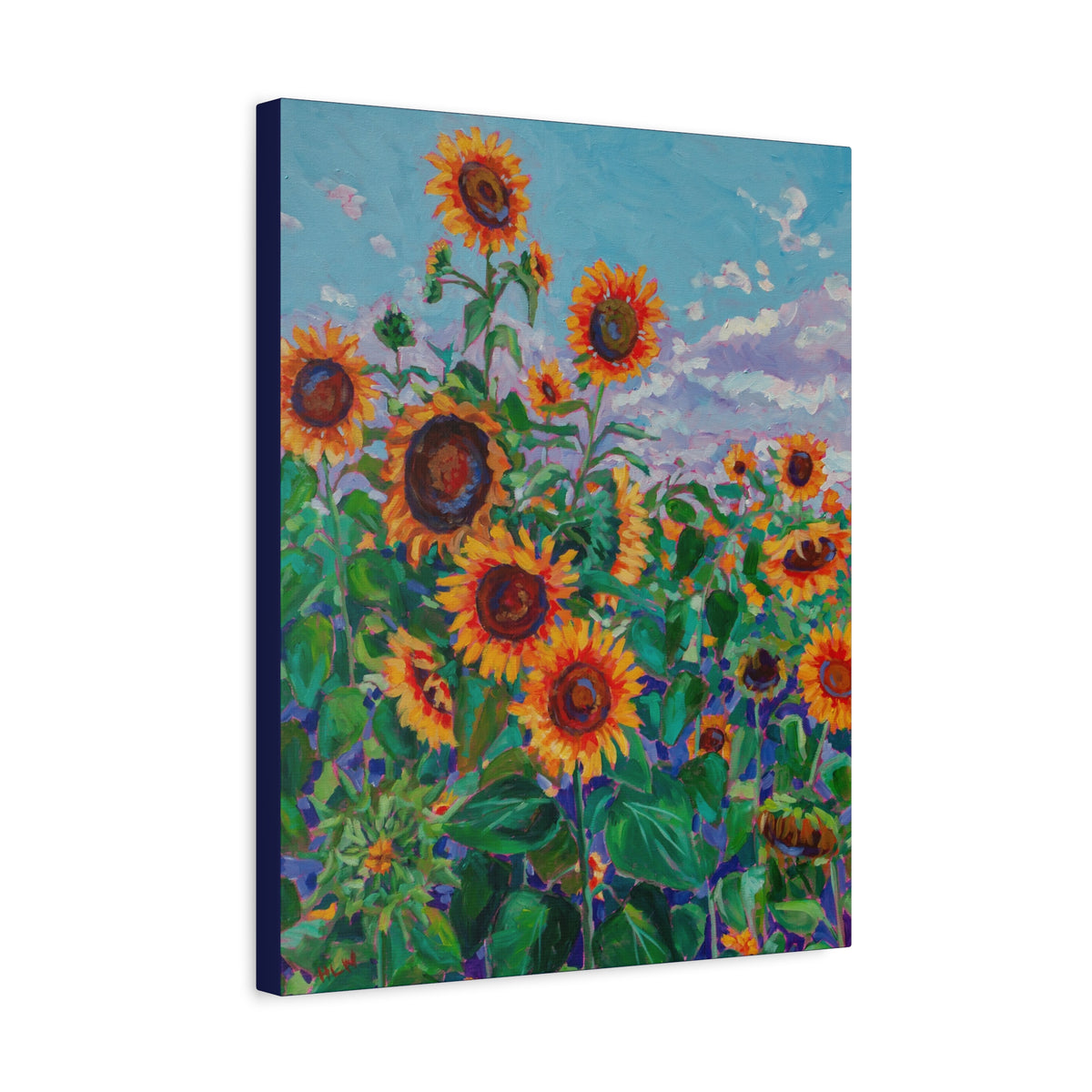 Sunflower field 5— Gallery Wrapped Canvas Reproduction