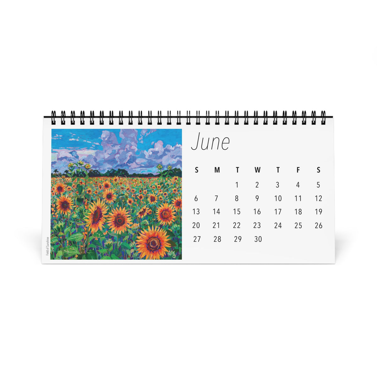 Fabulous Florals 2027 Desktop Calendar