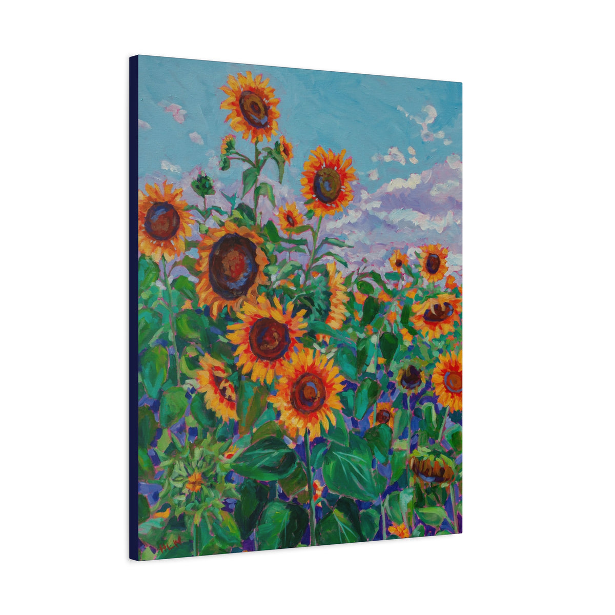 Sunflower field 5— Gallery Wrapped Canvas Reproduction