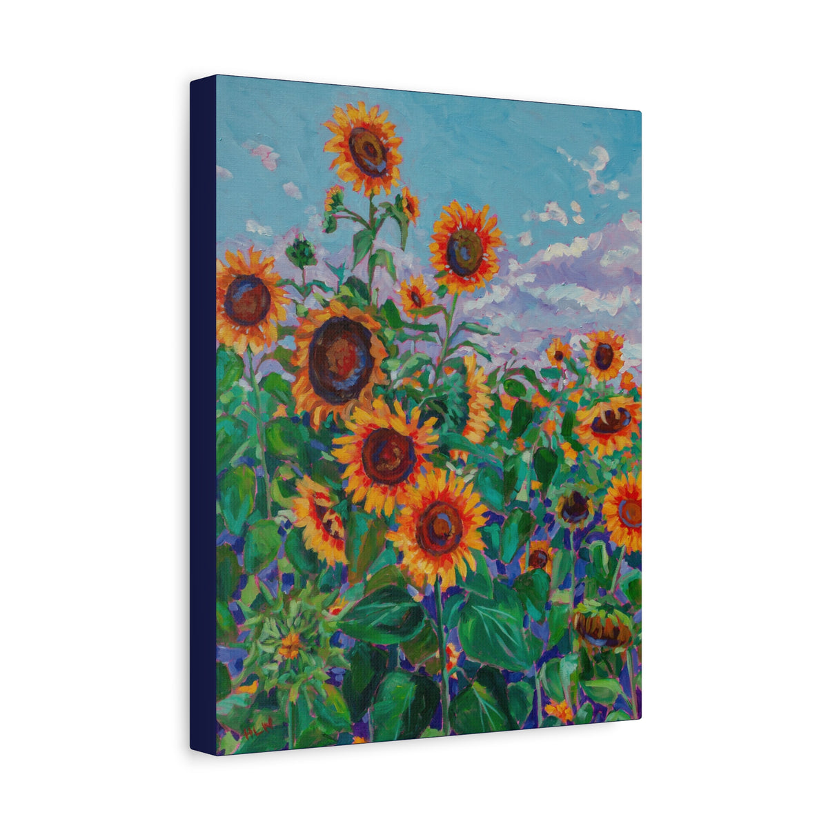 Sunflower field 5— Gallery Wrapped Canvas Reproduction