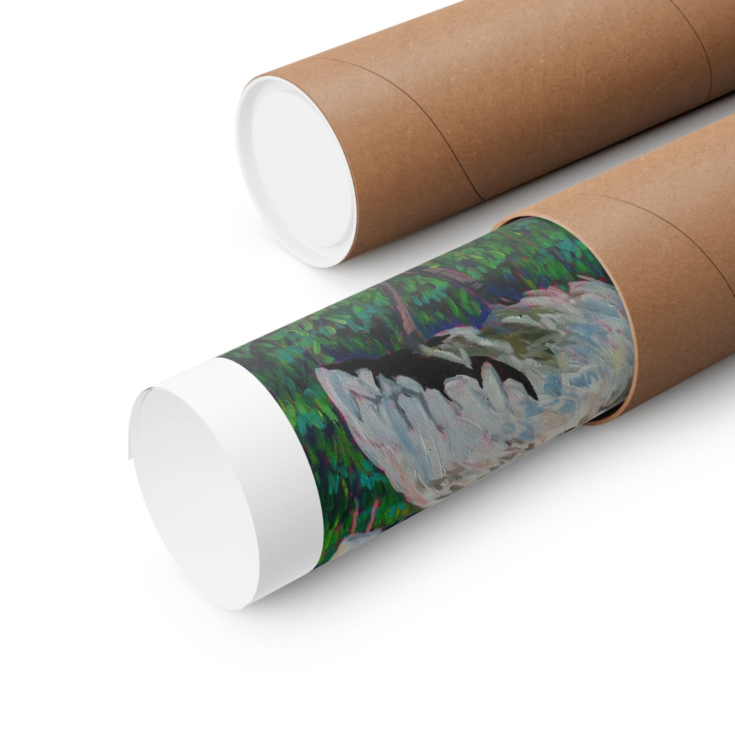 Waterfowl at Lake Morton, Lakeland— Fine Art Matte Paper Reproduction