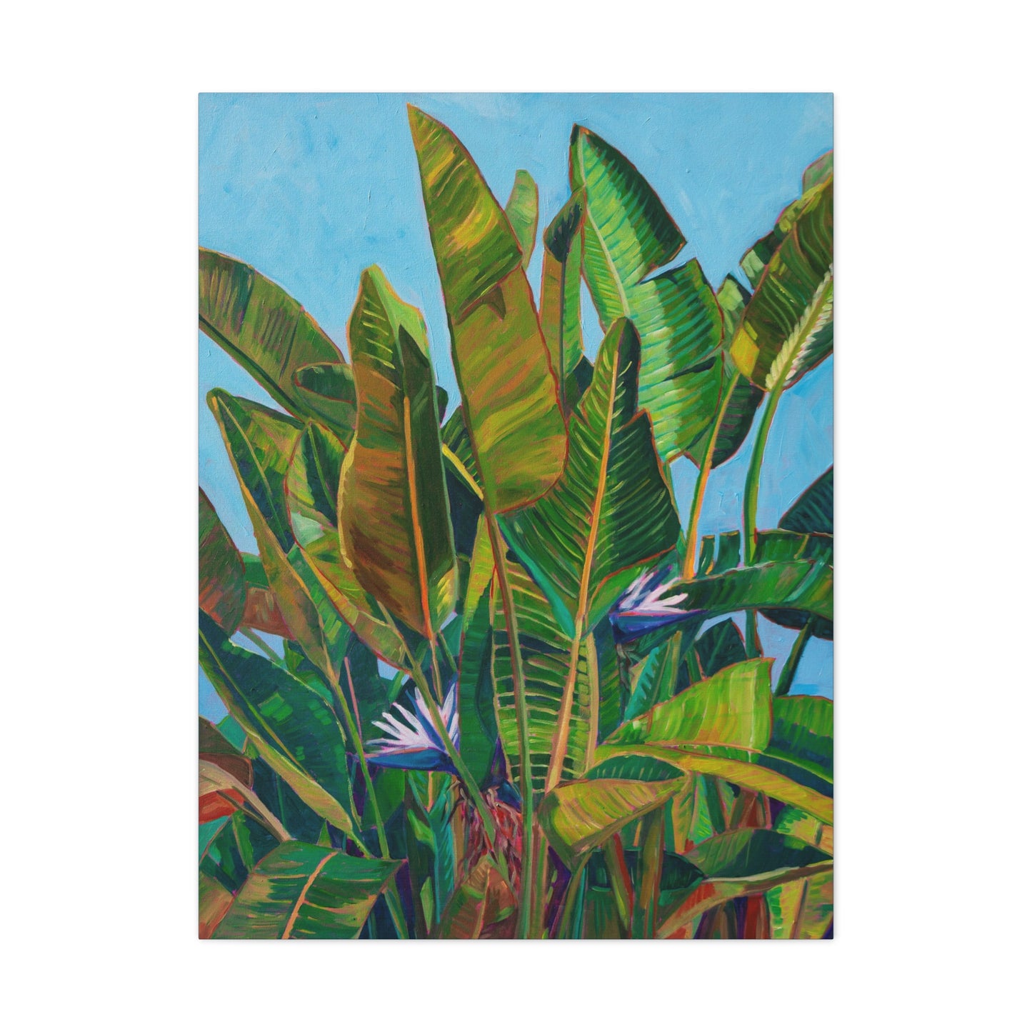 Bird of Paradise 3 — Gallery Wrapped Canvas Reproduction