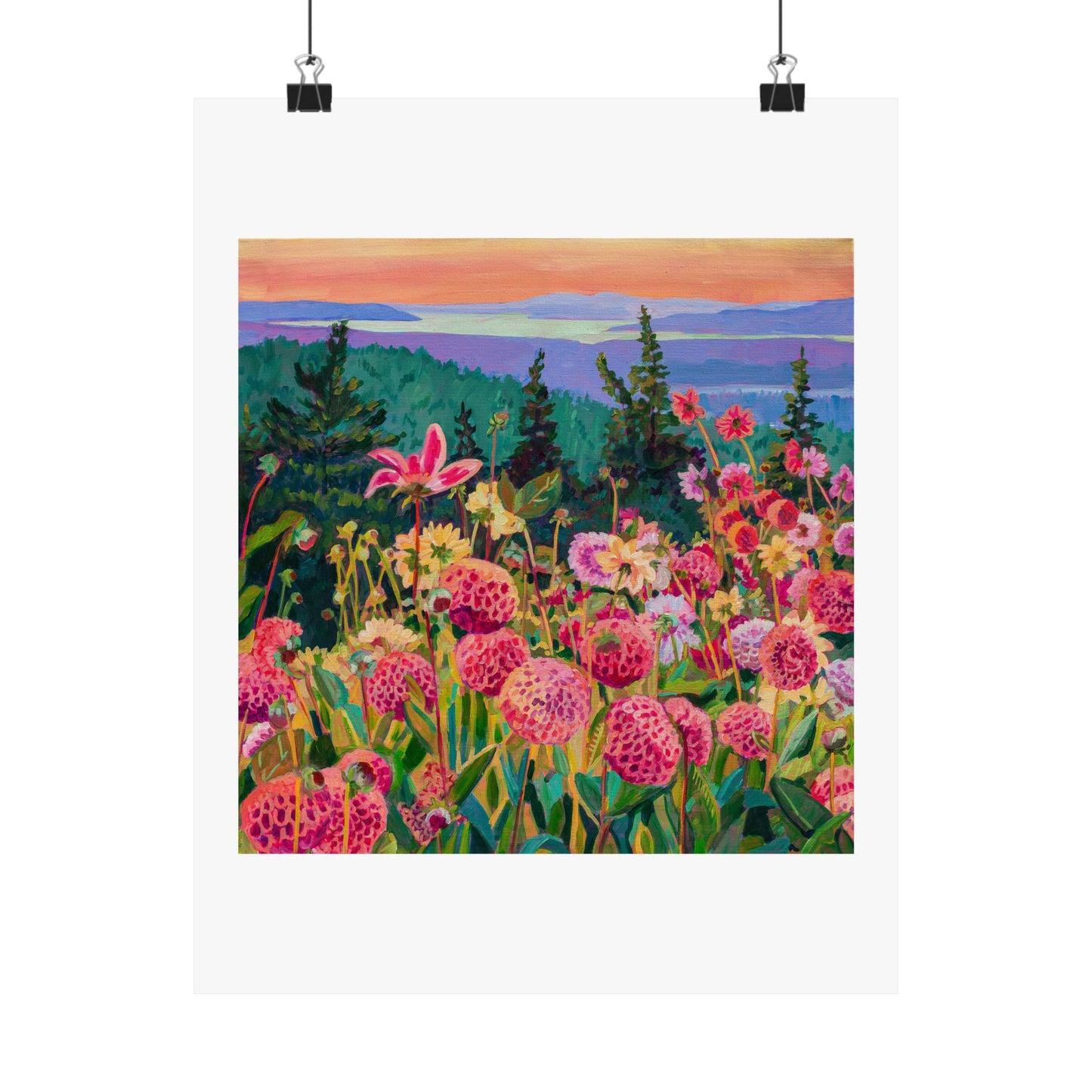 Wonder garden series-Dahlias— Matte Paper Poster Reproduction