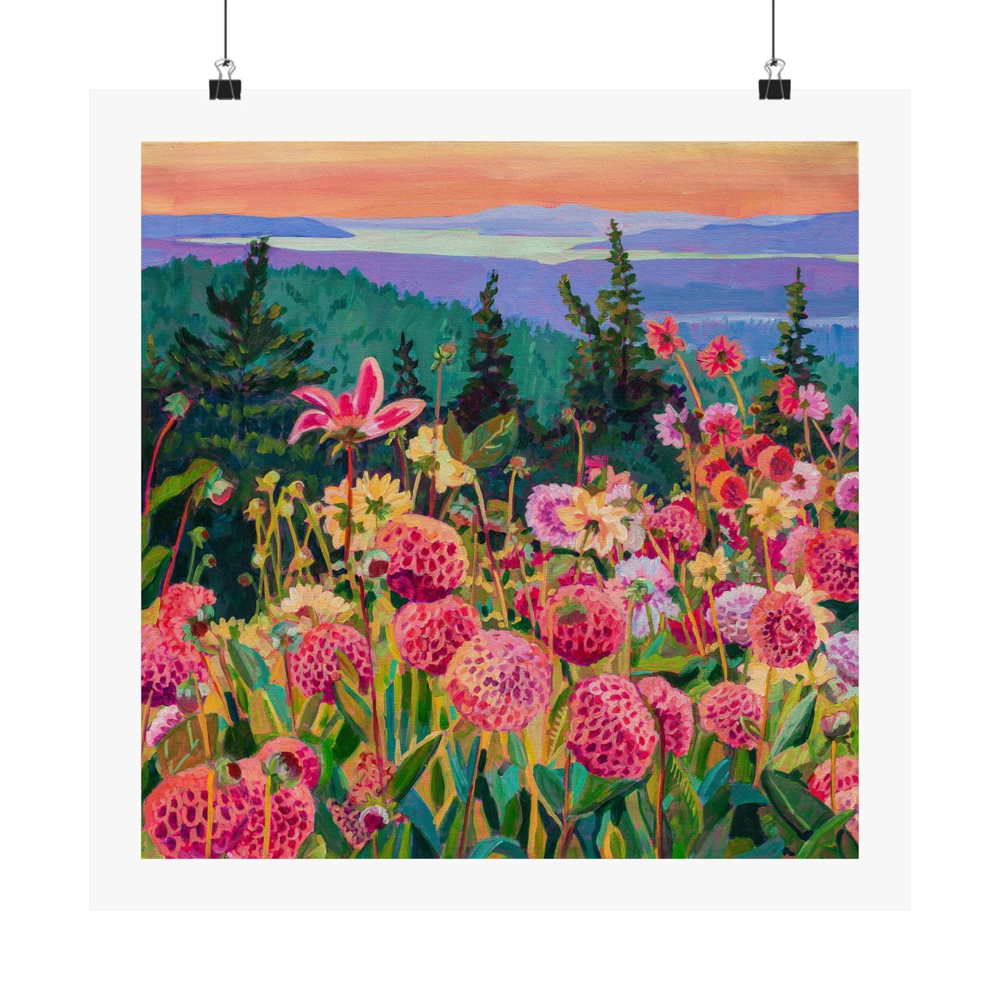 Wonder garden series-Dahlias— Matte Paper Poster Reproduction