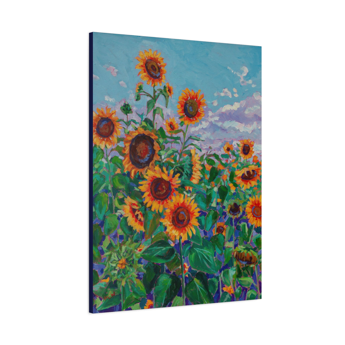 Sunflower field 5— Gallery Wrapped Canvas Reproduction