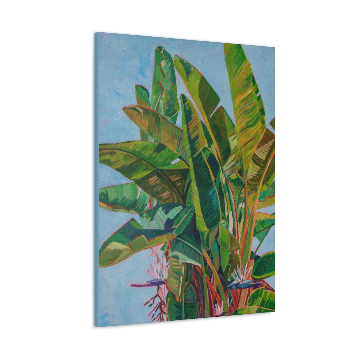 Bird of Paradise 1 — Gallery Wrapped Canvas Reproduction