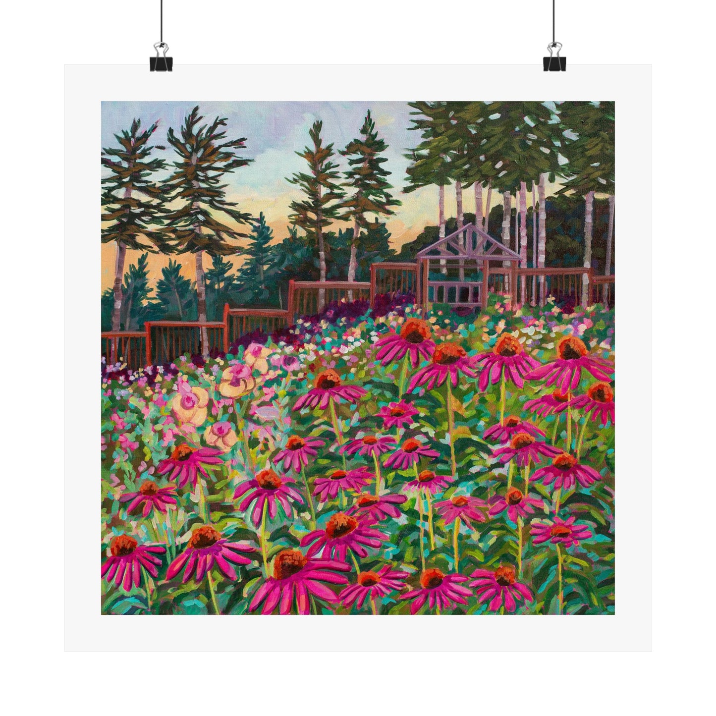 Wonder garden series- Purple Cornflowers— Matte Paper Poster Reproduction