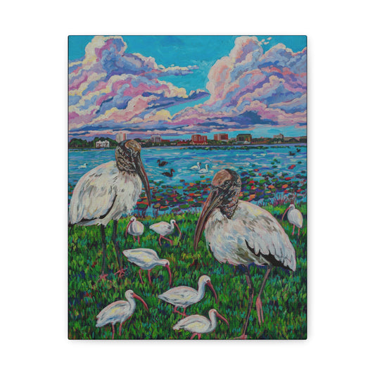 Waterfowl at Lake Morton, Lakeland—Matte Canvas, Stretched, 1.25"