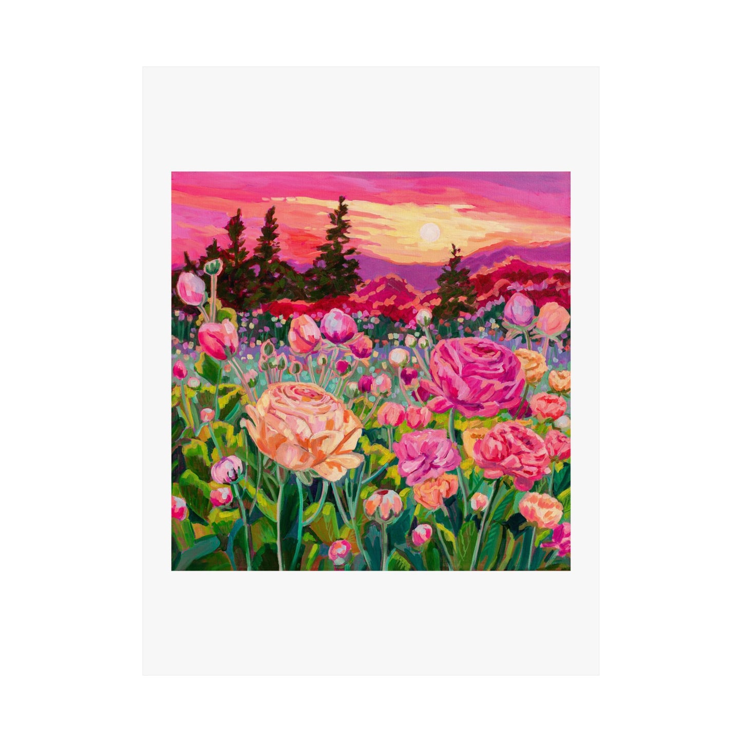 Wonder garden series- Ranunculus— Matte Paper Poster Reproduction