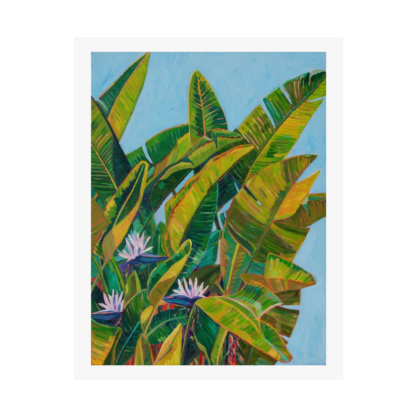 Bird of Paradise 2— Fine Art Poster Reproduction