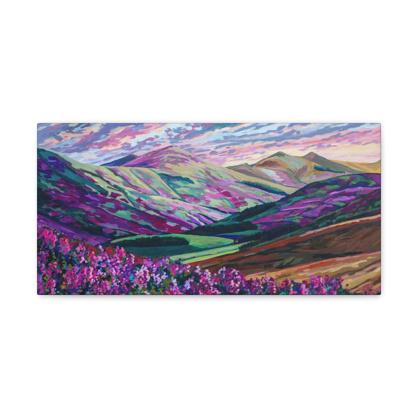 Heather in the Hills, West Linton-Scotland— Gallery Wrapped Canvas Reproduction