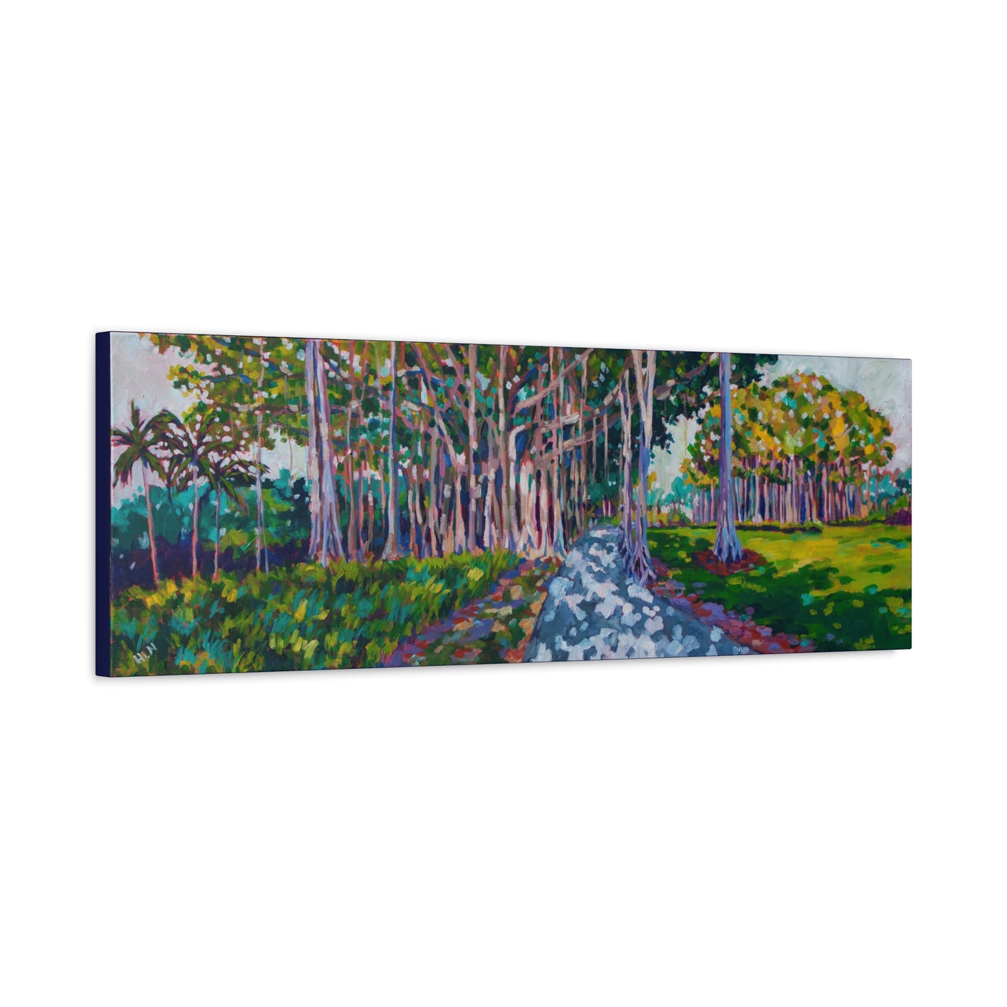Ringling's Banyan— Gallery Wrapped Canvas Reproduction