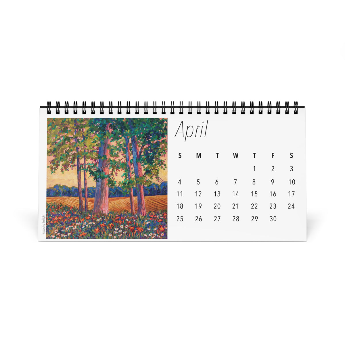 Fields and Farmland  2027 Desktop Calendar