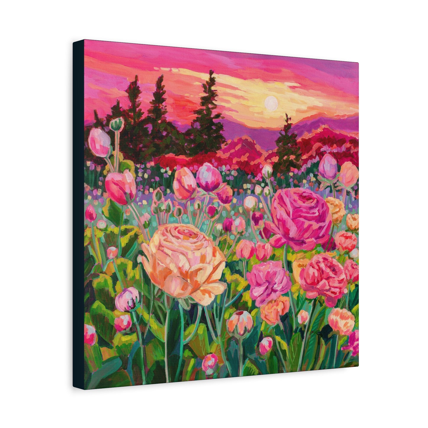 Wonder garden series- ranunculus—Matte Canvas, Stretched, 1.25"
