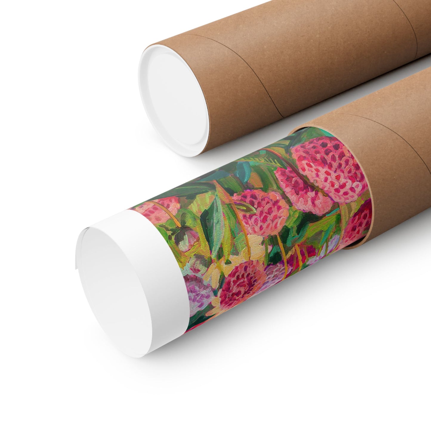 Wonder garden series-Dahlias— Matte Paper Poster Reproduction