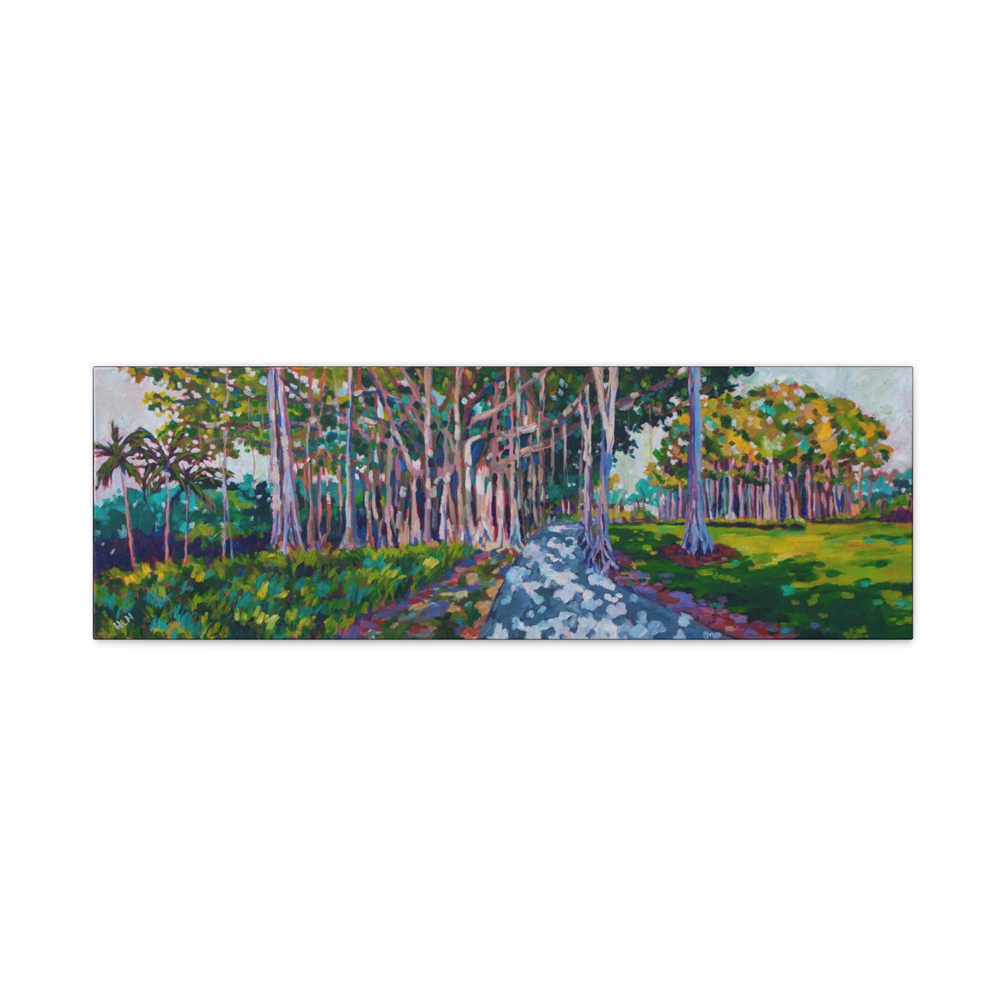 Ringling's Banyan— Gallery Wrapped Canvas Reproduction