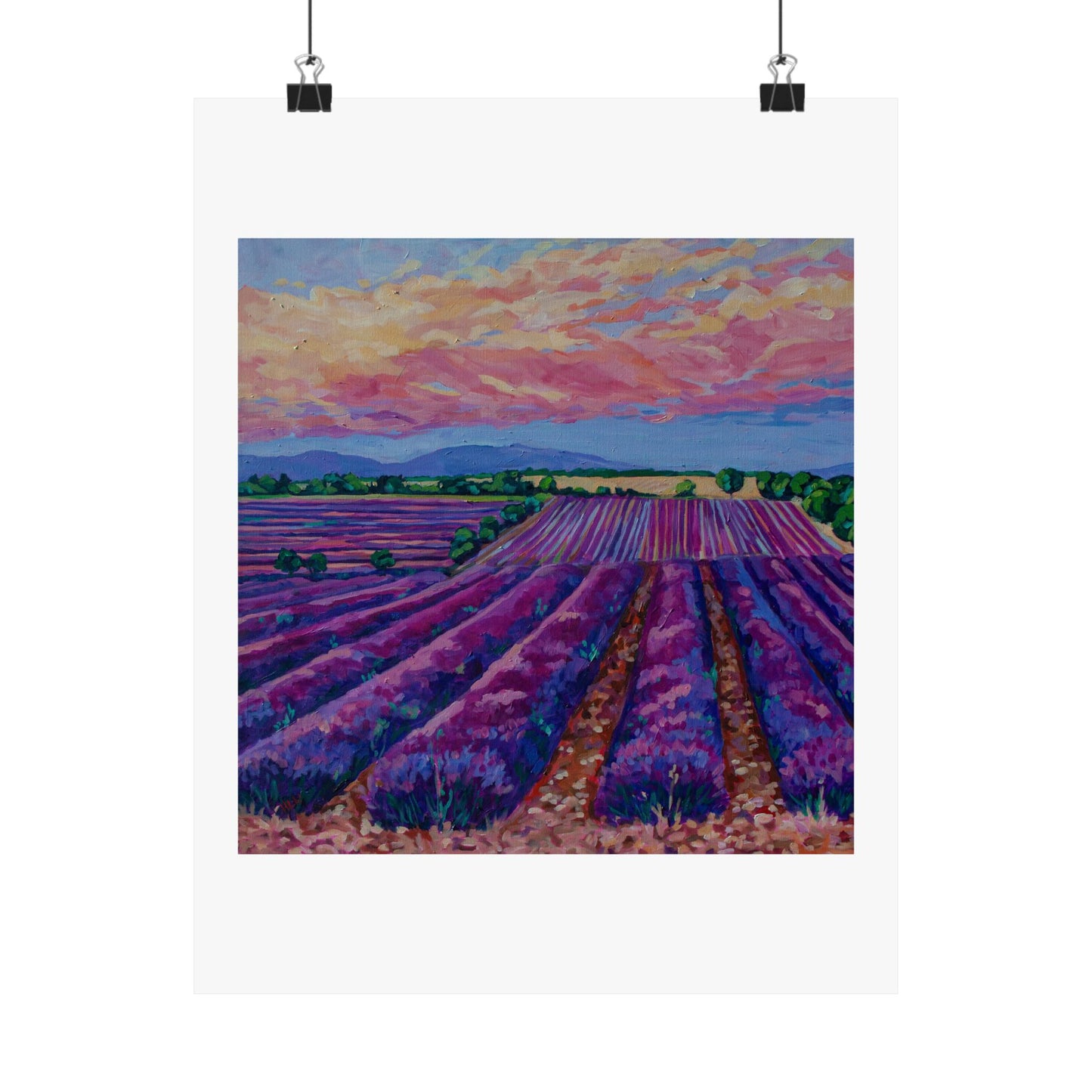 Sunset over the Lavender field— Matte Paper Poster Reproduction