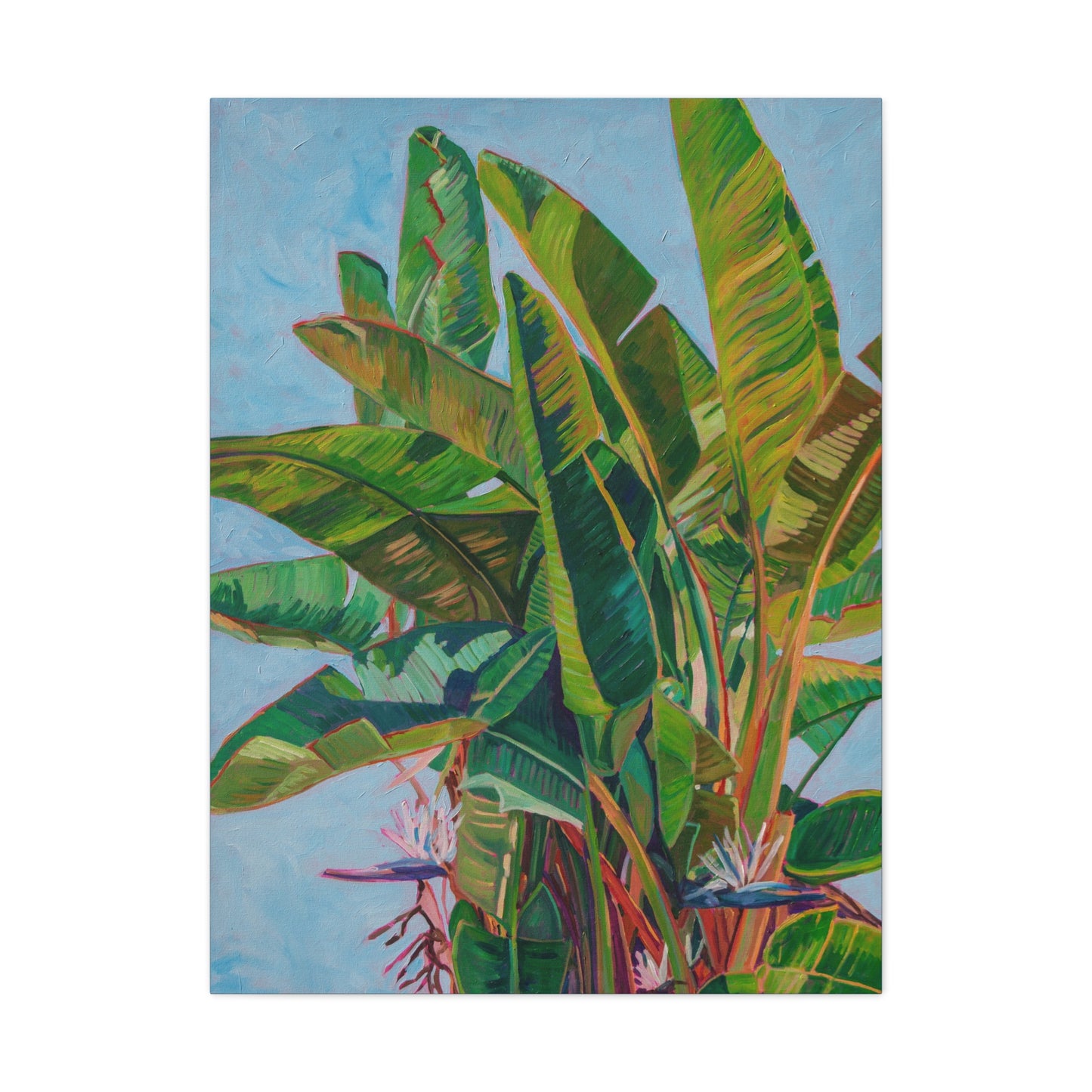 Bird of Paradise 1 — Gallery Wrapped Canvas Reproduction